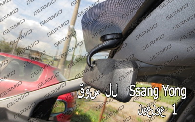 Ssang Yong Mount Type 1